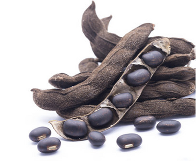 Mucuna Pruriens