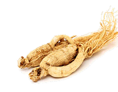 Panax Ginseng