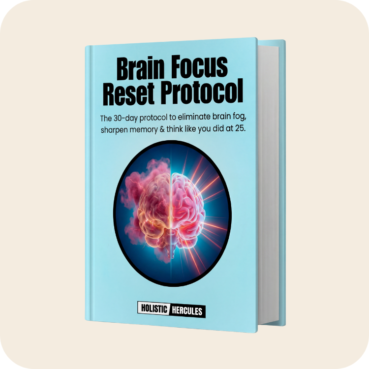 Brain Protocol Routine The Brain Focus Reset Protocol – Holistic Hercules Official